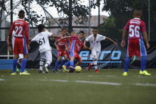 mk体育开云-中国足球青训成果展示会在多地举办,中国足球青训比赛