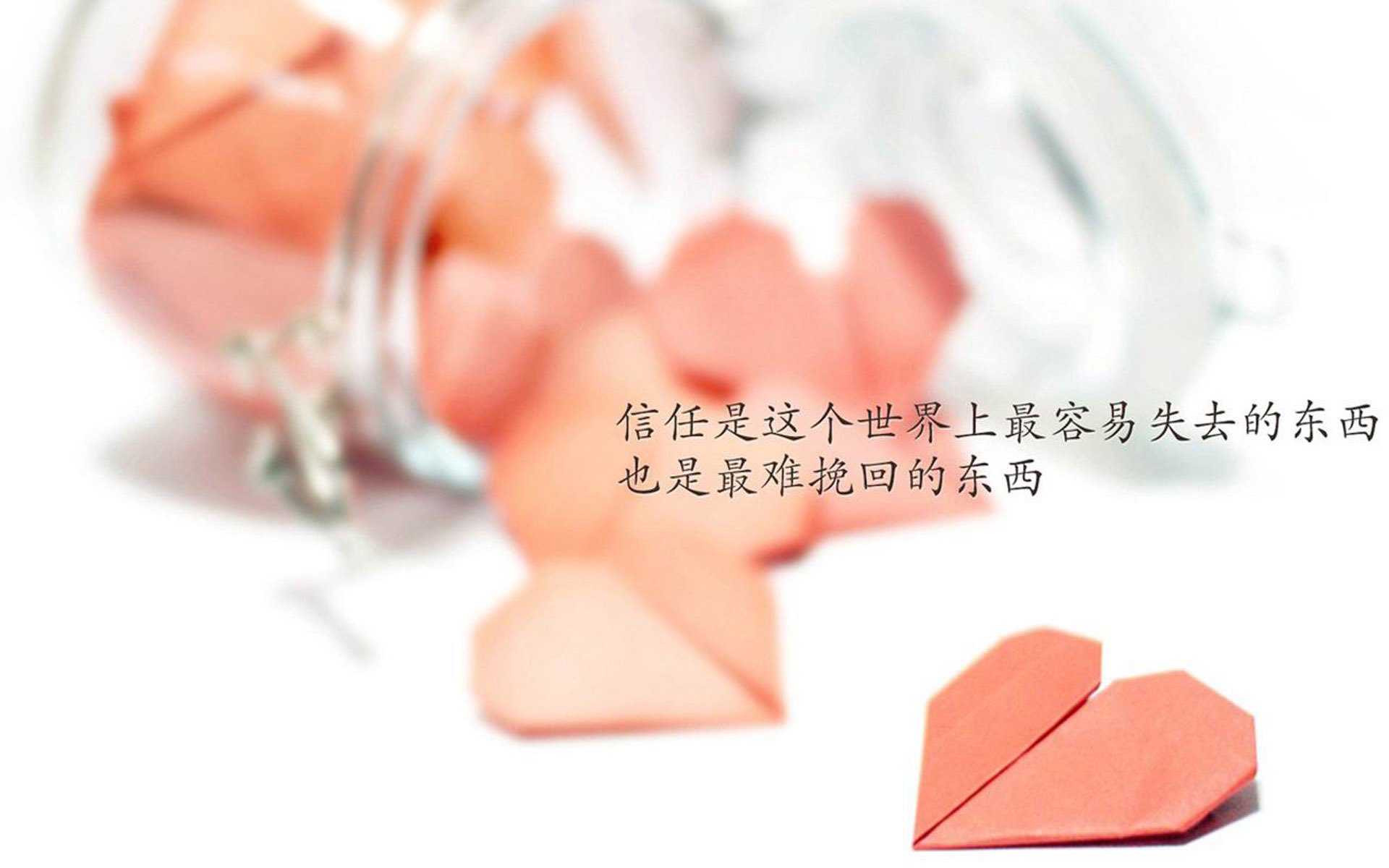 全国青少年武术趣味挑战赛引领传统文化新风尚，青少年武术套路比赛