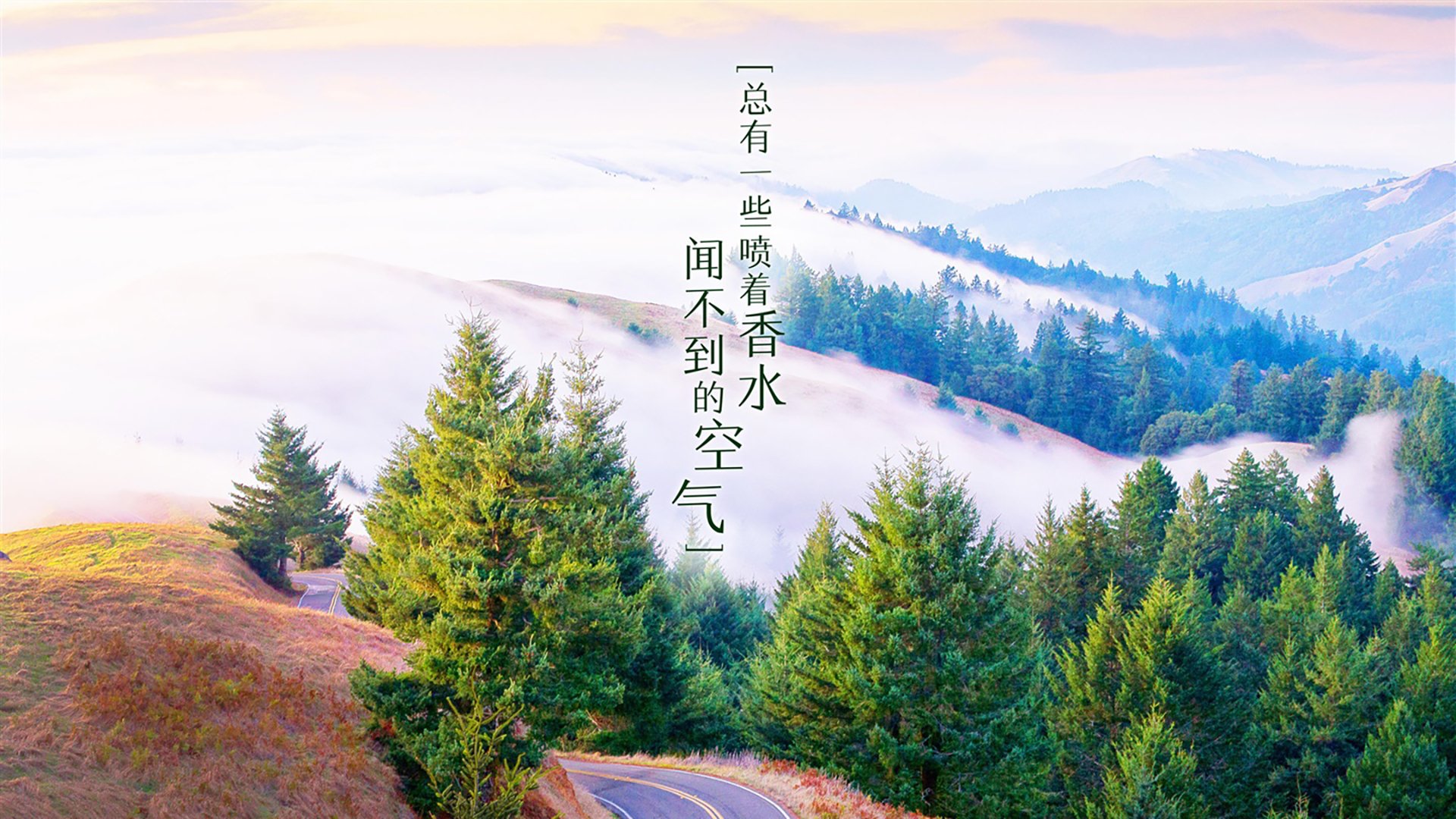 智能体育装备使用对高校学生锻炼意愿的影响分析，智能体育设施