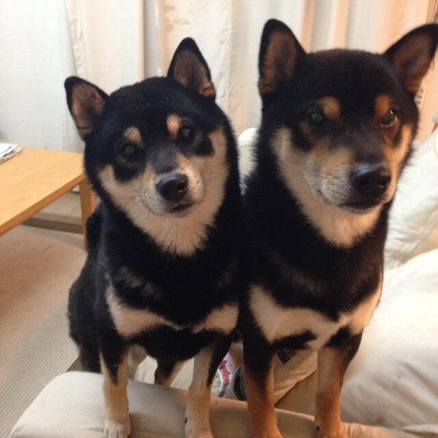 五大联赛球队青训体系是否仍具核心竞争力，五大联赛队伍别名