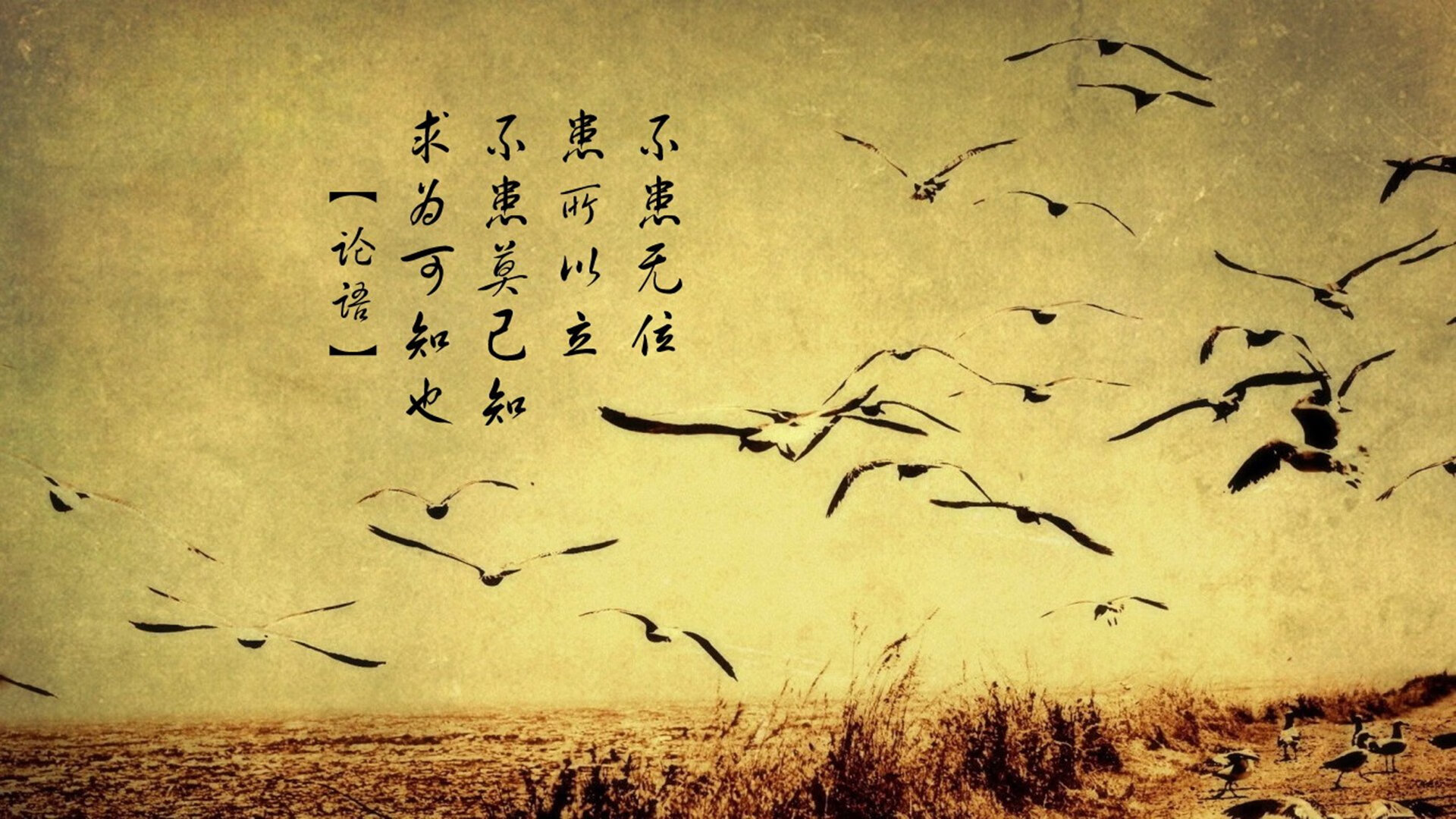 体育新闻中心推动体育传播平台数据共享机制，专业的体育新闻网站