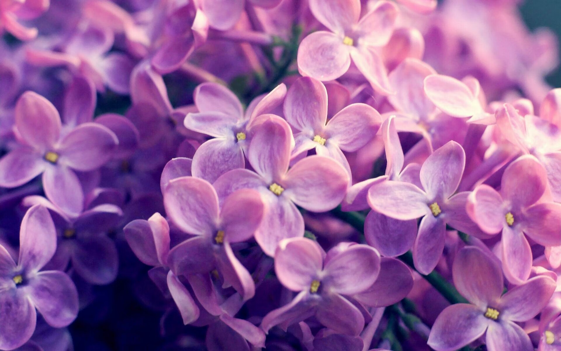 美国前段快后段缓技术趋势逐年增强