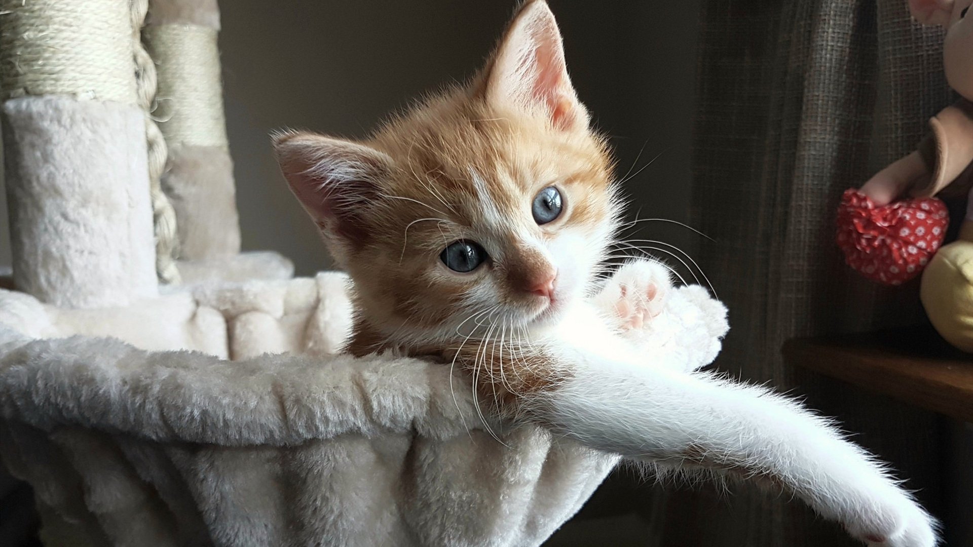 边锋切入中路是否提高禁区射门成功率，边锋要求