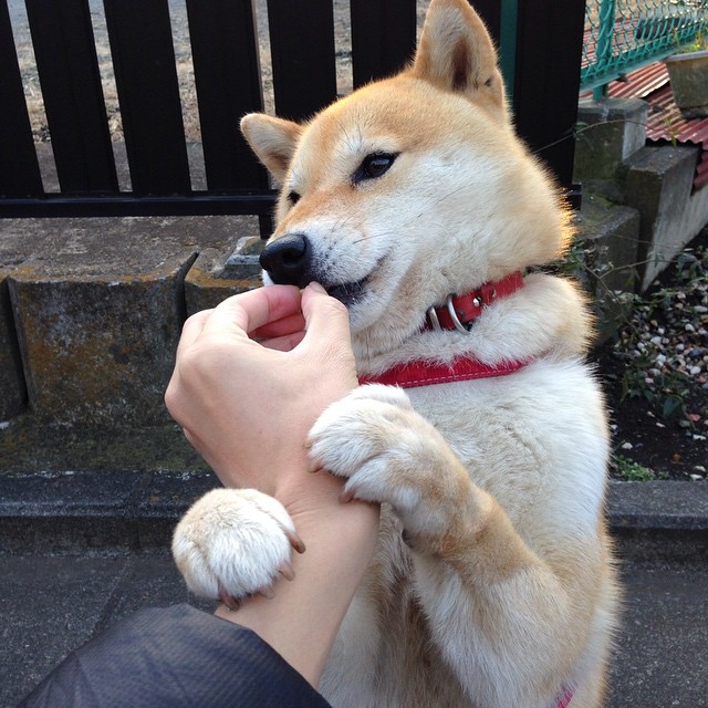 76人小前锋发文感谢球迷长期支持鼓励，76人之前的大前锋